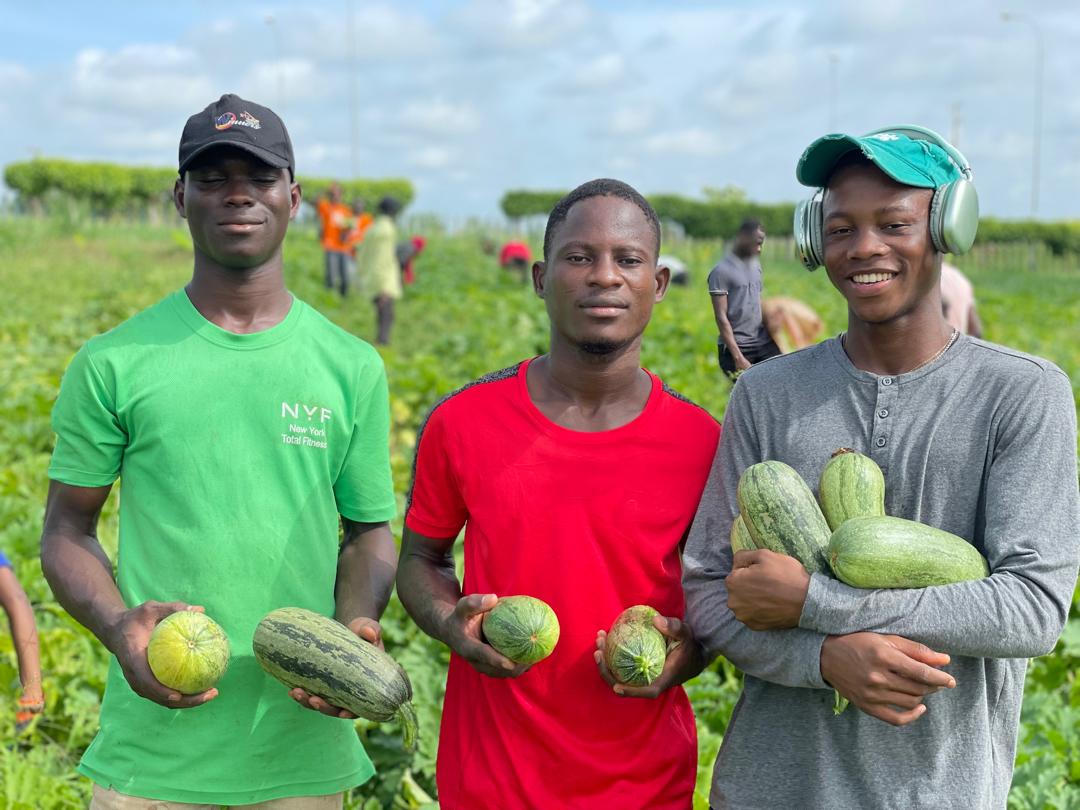 Équipe AgroTech ITA – étudiants ITA de l'INP-HB